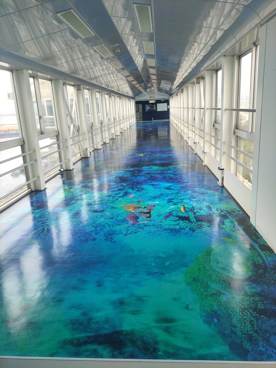 丁度この時、誰も居なかったびゅうおの渡り廊下。

#これを見た人は何か青いものをあげる