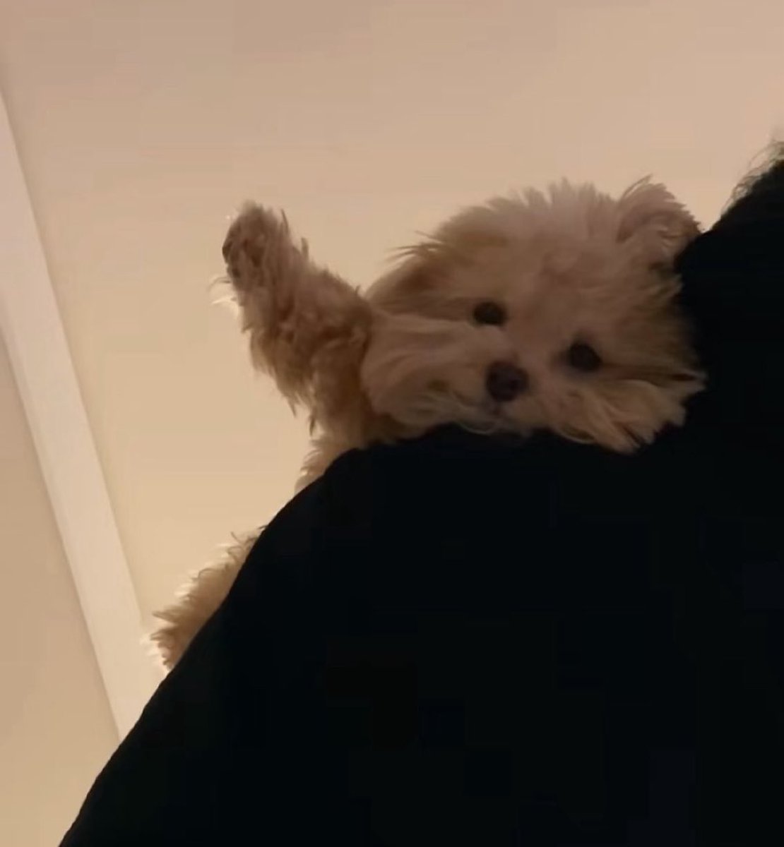 omgaww's tweet photo. hi https://t.co/SgUQ8KrINa