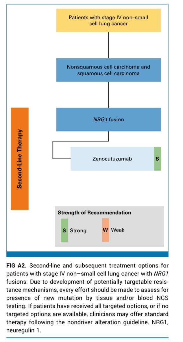 medoncodoc's tweet image. ASCO updates stage IV NSCLC with driver mutation guideline
#lcsm
ascopubs.org/doi/full/10.12…