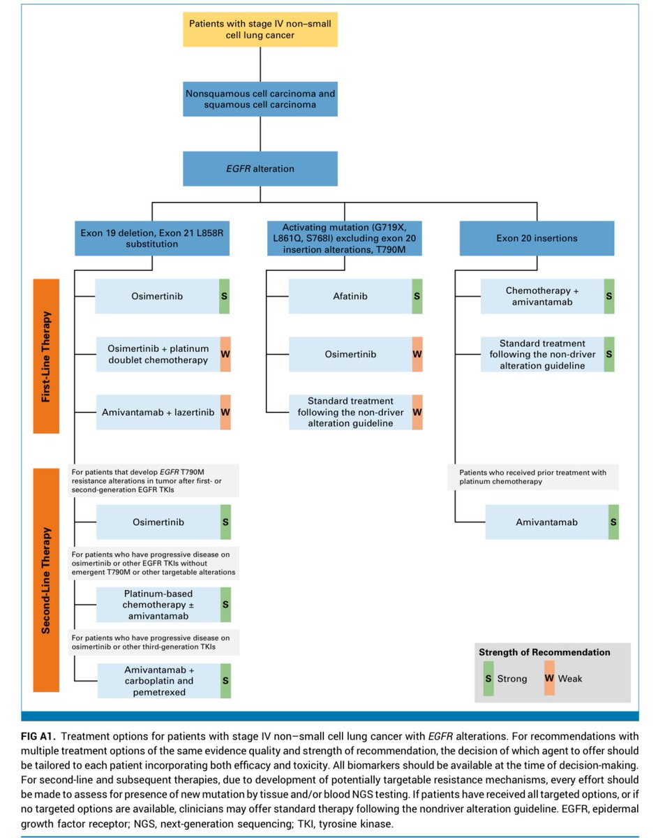 medoncodoc's tweet image. ASCO updates stage IV NSCLC with driver mutation guideline
#lcsm
ascopubs.org/doi/full/10.12…
