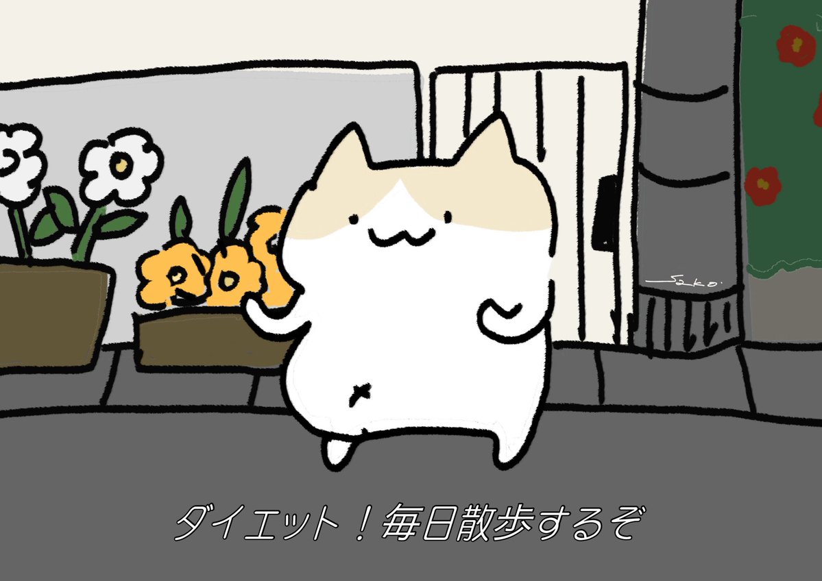 nekonano_28's tweet image. いつも三日坊主なの。ねこなの。