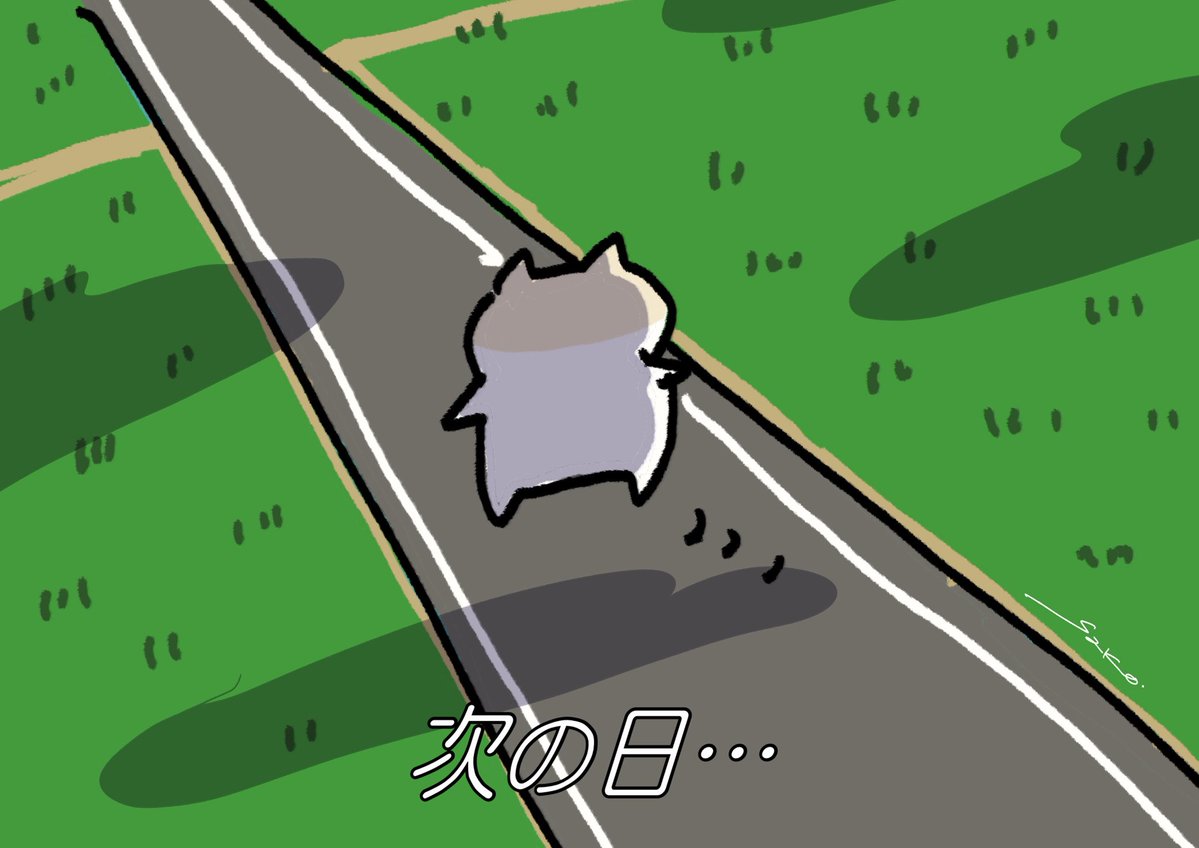 nekonano_28's tweet image. いつも三日坊主なの。ねこなの。