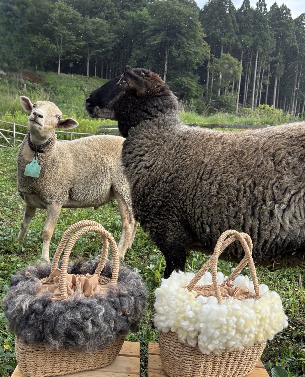くま君とけいと君の羊毛で飾った
羊のかごバッグ🐑🩷
可愛く出来た❣️
手織りのノッティングで織ってます。