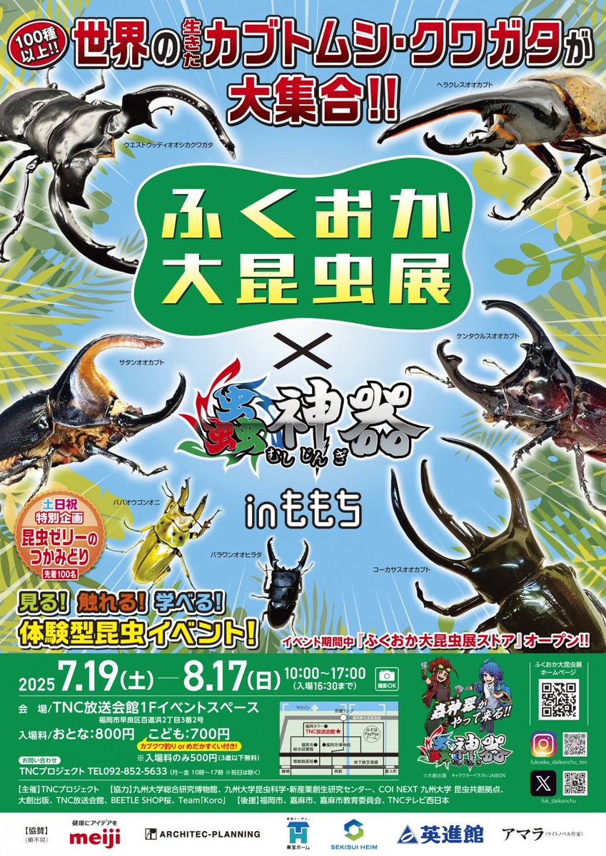mushijingi's tweet image. 【ふくおか大昆虫展は明日から!】
明日7/19から8/17まで、大型の昆虫イベントが開催されます!蟲神器の夏休みコラボイベントとして、オオクワガタプロモーションカードも配布いたします!
公式サイトはこちら
daikonchu-ten.com
7/27の大会エントリーはこちら
tonamel.com/competition/q6…