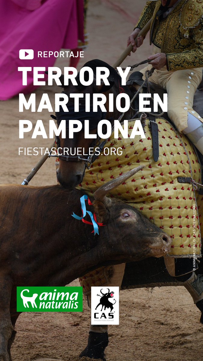 AnimaNaturalis's tweet image. 🎥🔴 Nuestro equipo de investigación dedicó dos días a documentar el calvario de los toros que acaban masacrados en la Feria del Toro de #Pamplona.
Este reportaje revela el destino de cada toro que corre en los encierros de #SanFermín
🗞👉 animanaturalis.org/alertas/46915
¡Comparte!