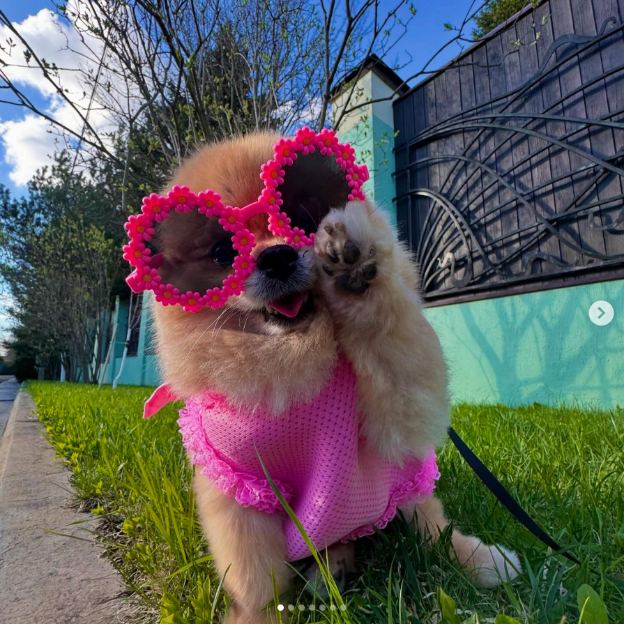 Gkori! It's always a good morning when I wake up with a $KORI's "GM"