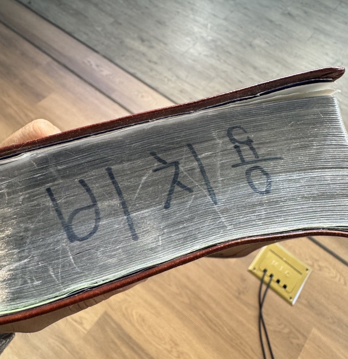 어떤 bitch 꺼죠? 타임라인에 저녁이 드리웠습니다. 밤이 되었으니 bitch들은 손을 드세요.