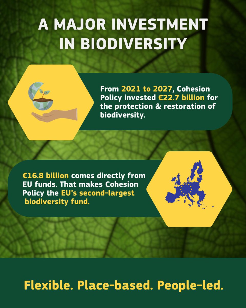 EUinmyRegion🇪🇺 (@euinmyregion) on Twitter photo 🌿 Episode 4 of our Cohesion Policy Explained series is here!
This time, we’re diving into biodiversity – the foundation of our health, economy and planet. 🐝
But biodiversity is declining at an alarming rate. That’s why the EU launched the Biodiversity Strategy for 2030.
🧵 🌿 Episode 4 of our Cohesion Policy Explained series is here!
This time, we’re diving into biodiversity – the foundation of our health, economy and planet. 🐝
But biodiversity is declining at an alarming rate. That’s why the EU launched the Biodiversity Strategy for 2030.
🧵