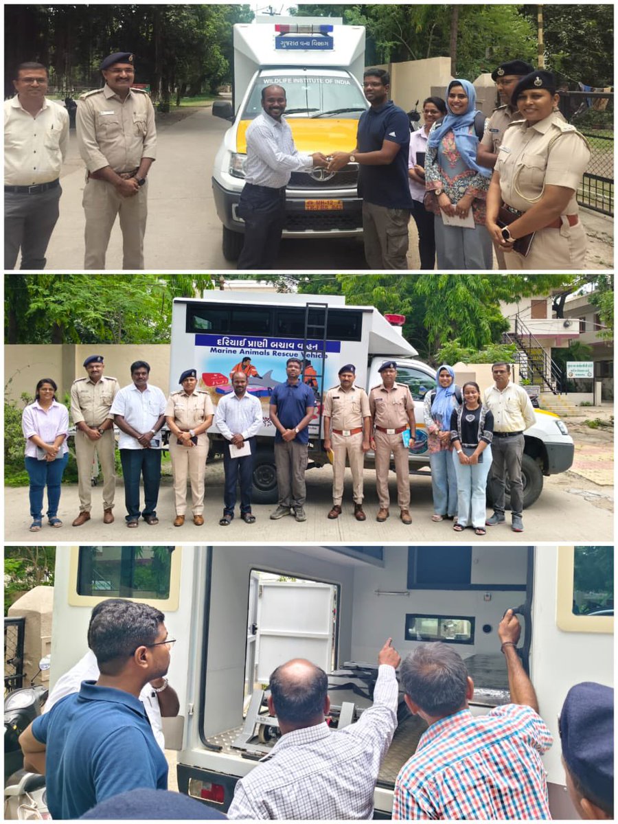 Wildlife Institute of India (@wii_india) on Twitter photo Capacity building and stakeholder engagement are key focus of the #Dugong recovery program. As part of the <a href="/CAMPAdugong_WII/">Dugong Recovery Program</a> program, a stakeholder meeting was conducted at Marine National Park (MNP), Jamnagar, Gujarat on "Dugong conservation and Handing Marine mammal strandings" Capacity building and stakeholder engagement are key focus of the #Dugong recovery program. As part of the <a href="/CAMPAdugong_WII/">Dugong Recovery Program</a> program, a stakeholder meeting was conducted at Marine National Park (MNP), Jamnagar, Gujarat on "Dugong conservation and Handing Marine mammal strandings"