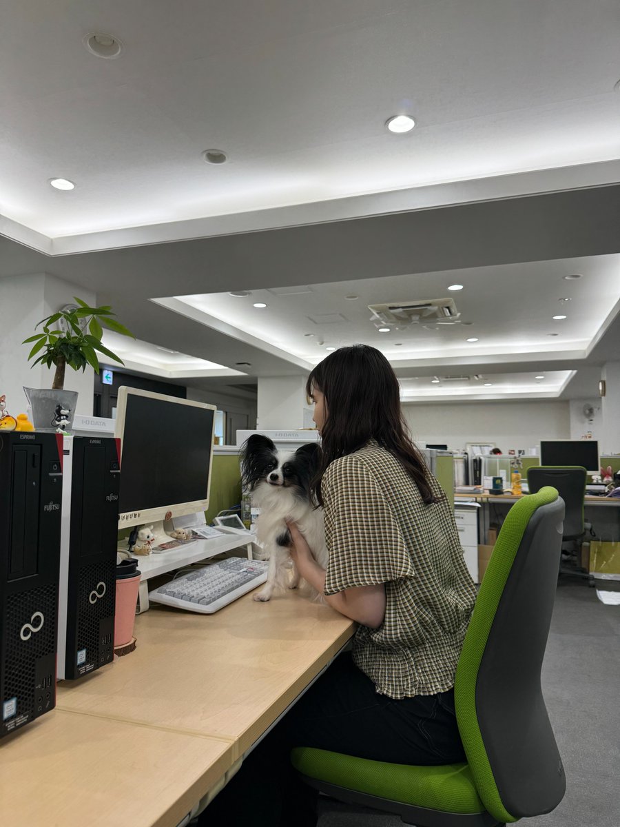 peppy_net's tweet image. 弊社スタッフ犬は犬代表として、
今日もバッチリ意見を述べてくれています🐶📣