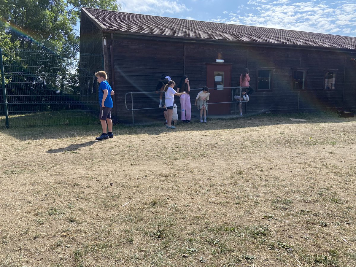 King David Primary School tweet media