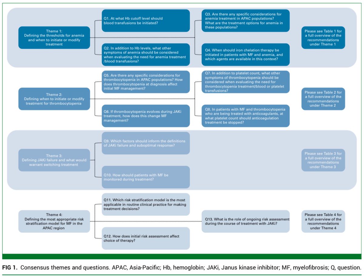medoncodoc's tweet image. Myelofibrosis - recommendations for Asia Pacific from APAC-MF Alliance
doi.org/10.1200/OP-24-…
