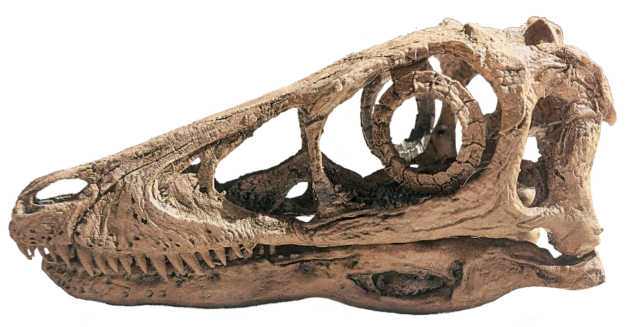 мої динозаври