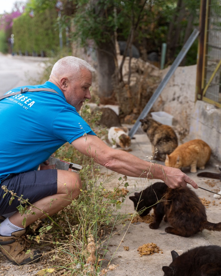 Battersea_'s tweet image. Did you know Battersea works around the world to help dogs and cats? 🌎🐾 On a recent trip to Greece, we met with our brilliant partner @NineLivesGreece to get a better understanding of how they support Athens' stray cat population through feeding, neutering and more. 💙