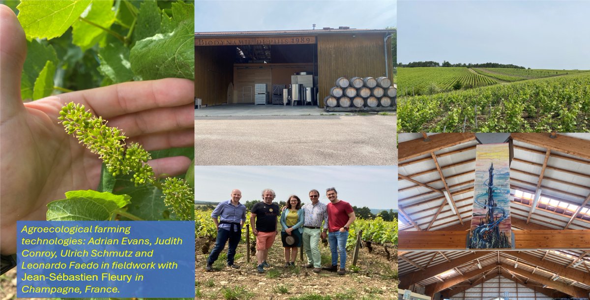 CoventryCAWR's tweet image. The CAWR team developing research on the cluster of agroecological farming technologies had a field trip in the Champagne region, France. The focus was the phase out of contentious inputs in agriculture, particularly looking into alternatives to copper to control phytopathogens.