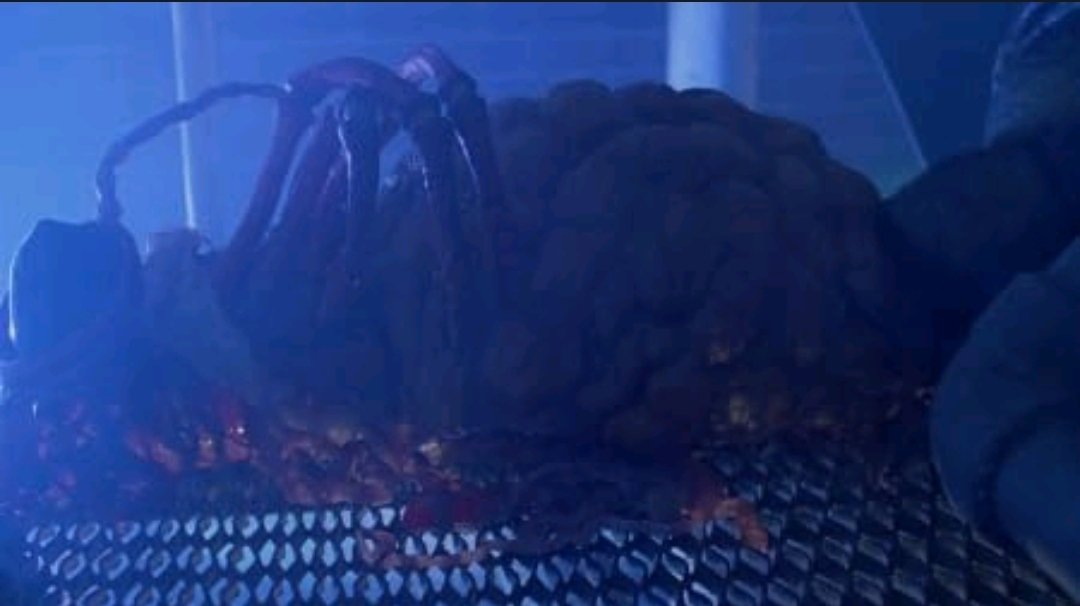 'Alerta Roja en el Gran Hospital' (Blue Monkey, 1987), dirigida por el poco reconocido William Fruet, un grande del terror de serie B.

Un hospital en cuarentena, infecciones, un insecto gigante, mucha caspa ochentera y Steve Railsback avergonzado de haber participado en ella.