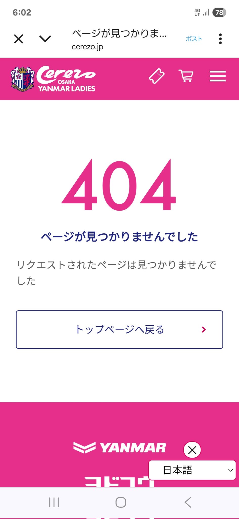 yukizoo様 リクエスト 3点 まとめ商品　☆フォロー割 いわさきしゅんすけ on X: 