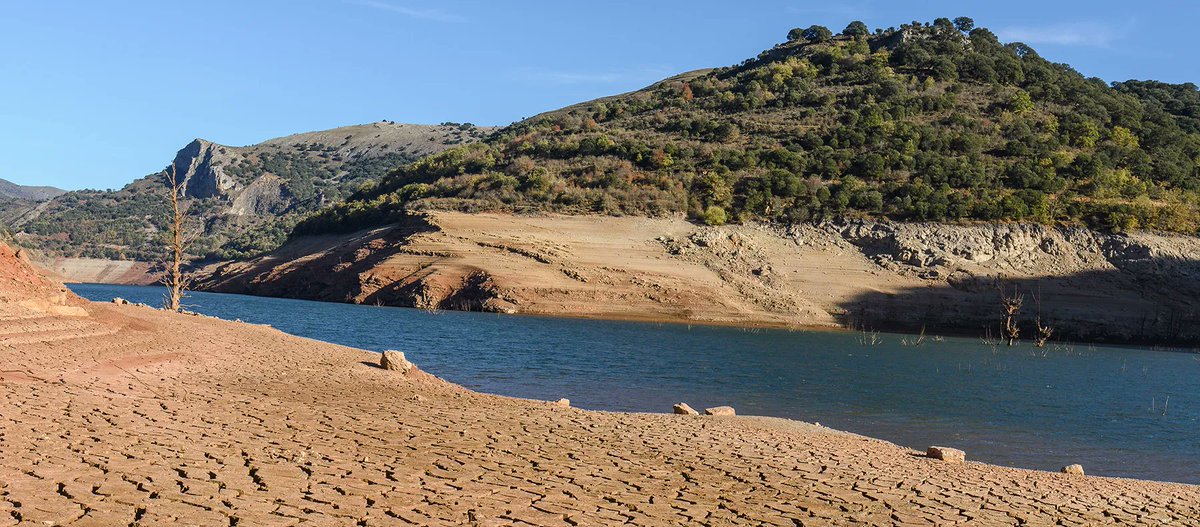 capnetworkire's tweet image. A new Thematic Group on Improving Water Resilience in Rural Areas through the CAP has been announced.
Deadline for expression of interest submissions is 12th of August 2025.
Learn more here: capnetworkireland.eu/improving-wate…
#capnetworkireland #SustainableAgriculture #RuralInnovation