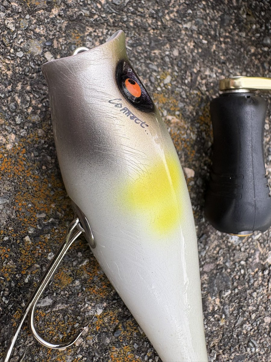 野良tacos↓↑🐸🐭 tweet media