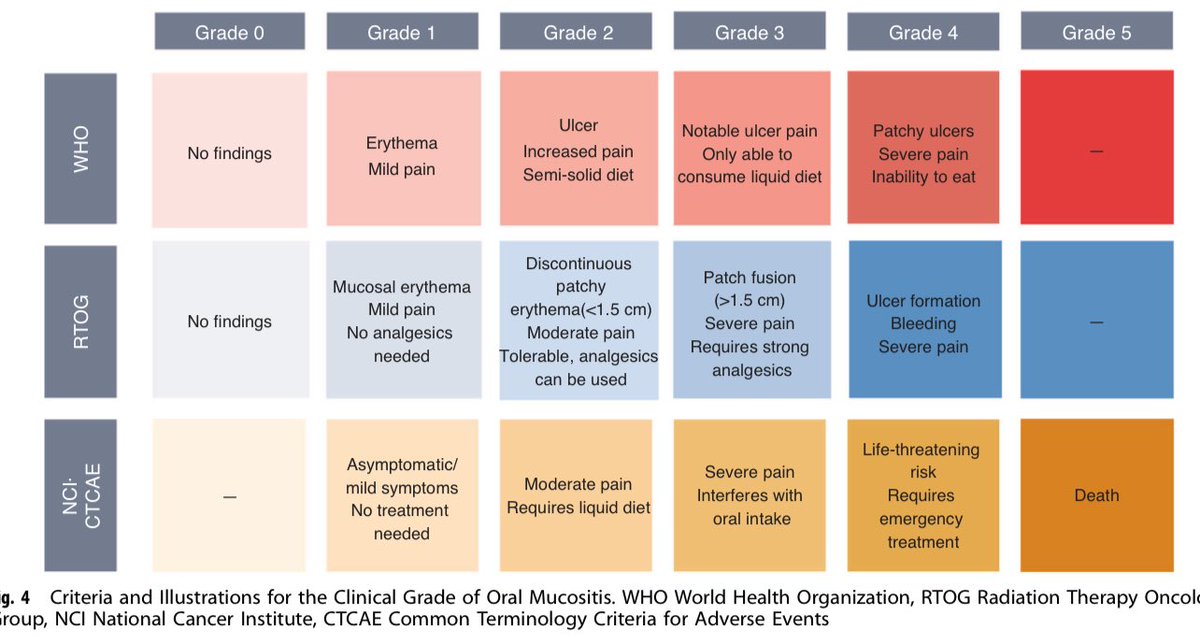 medoncodoc's tweet image. Radio- chemotherapy induced oral mucositis - prevention and management
doi.org/10.1038/s41368…