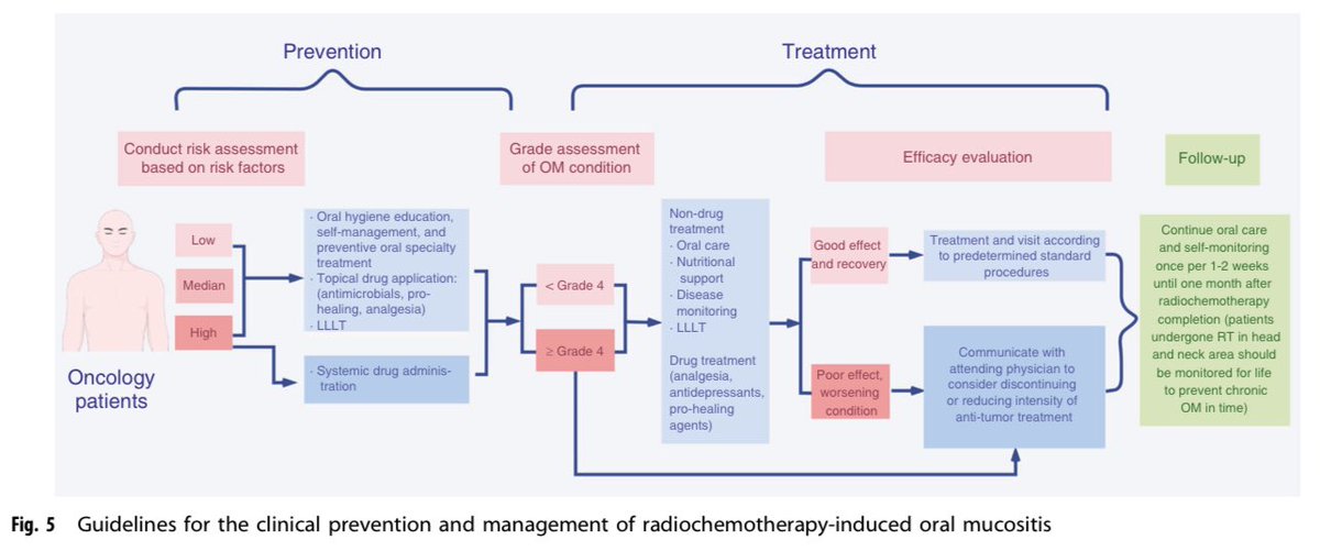 medoncodoc's tweet image. Radio- chemotherapy induced oral mucositis - prevention and management
doi.org/10.1038/s41368…