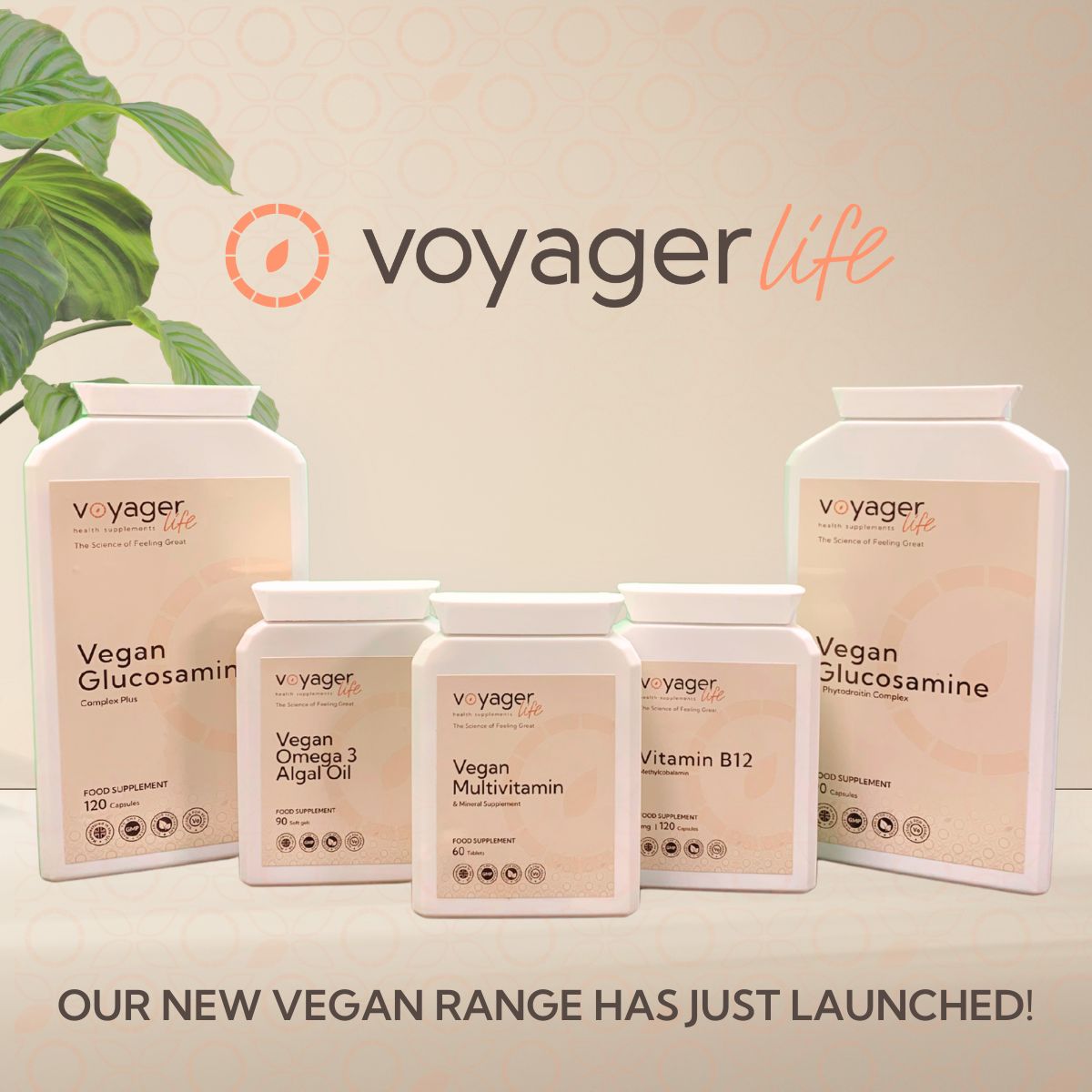Voyager Life tweet media