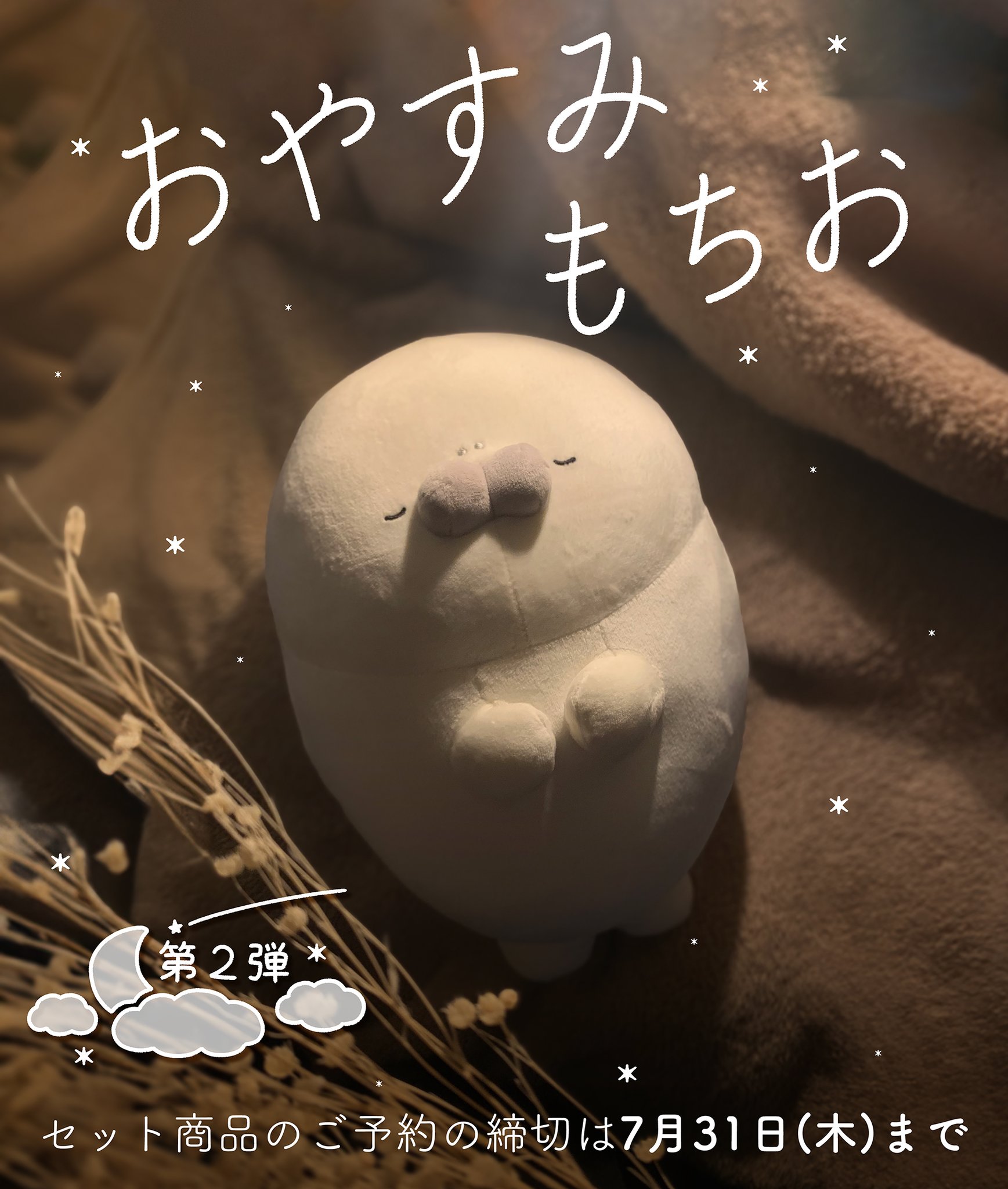 もちたぷあざらし🏝🦭 on X: 