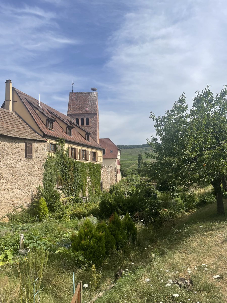 Kientzheim (Elsass). Ein Ort mit vollständig erhaltener Stadtmauer und vorgelagerten wunderbaren Bauerngärten.