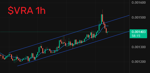 GulleMan tweet media