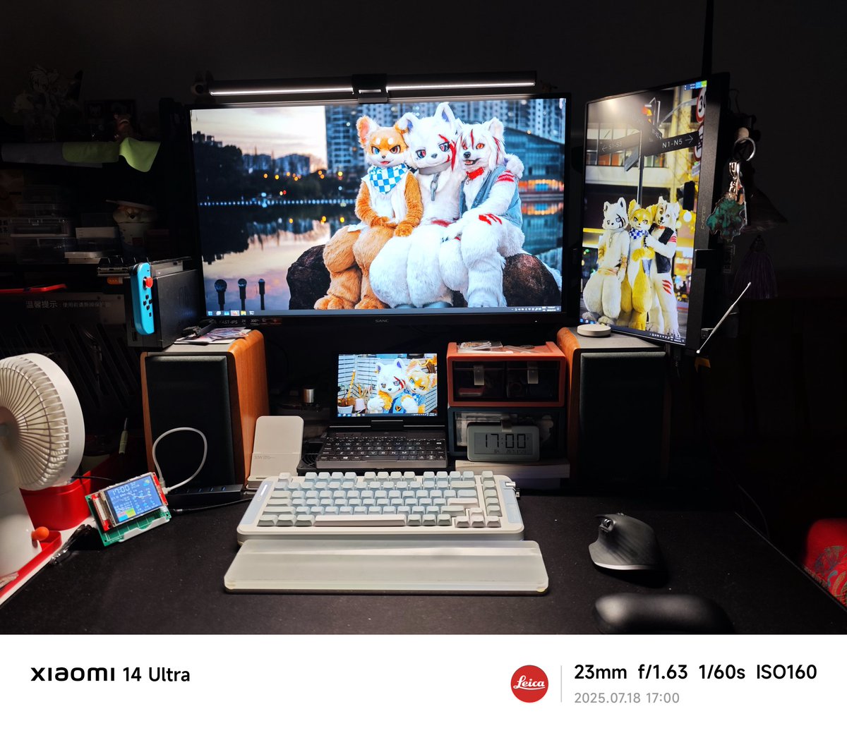 桌前的小世界
#FursuitFriday