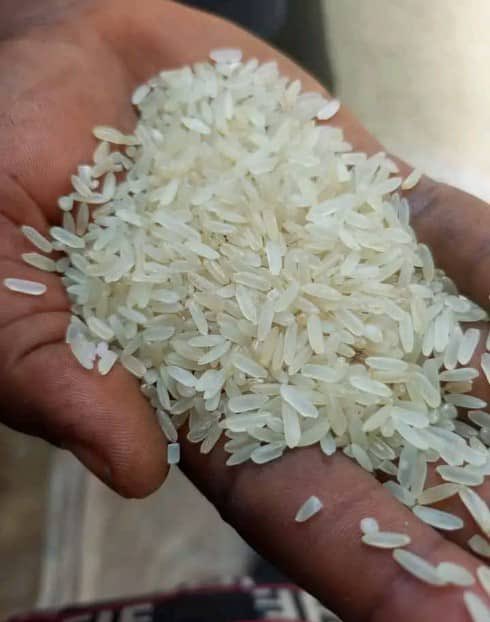FestusWisdom9's tweet photo. Good morning my country people,I bring to you the best rice,long grains and stone free…we can deliver to any part of the country,please feel free to dm https://t.co/qZzjJx7q1b