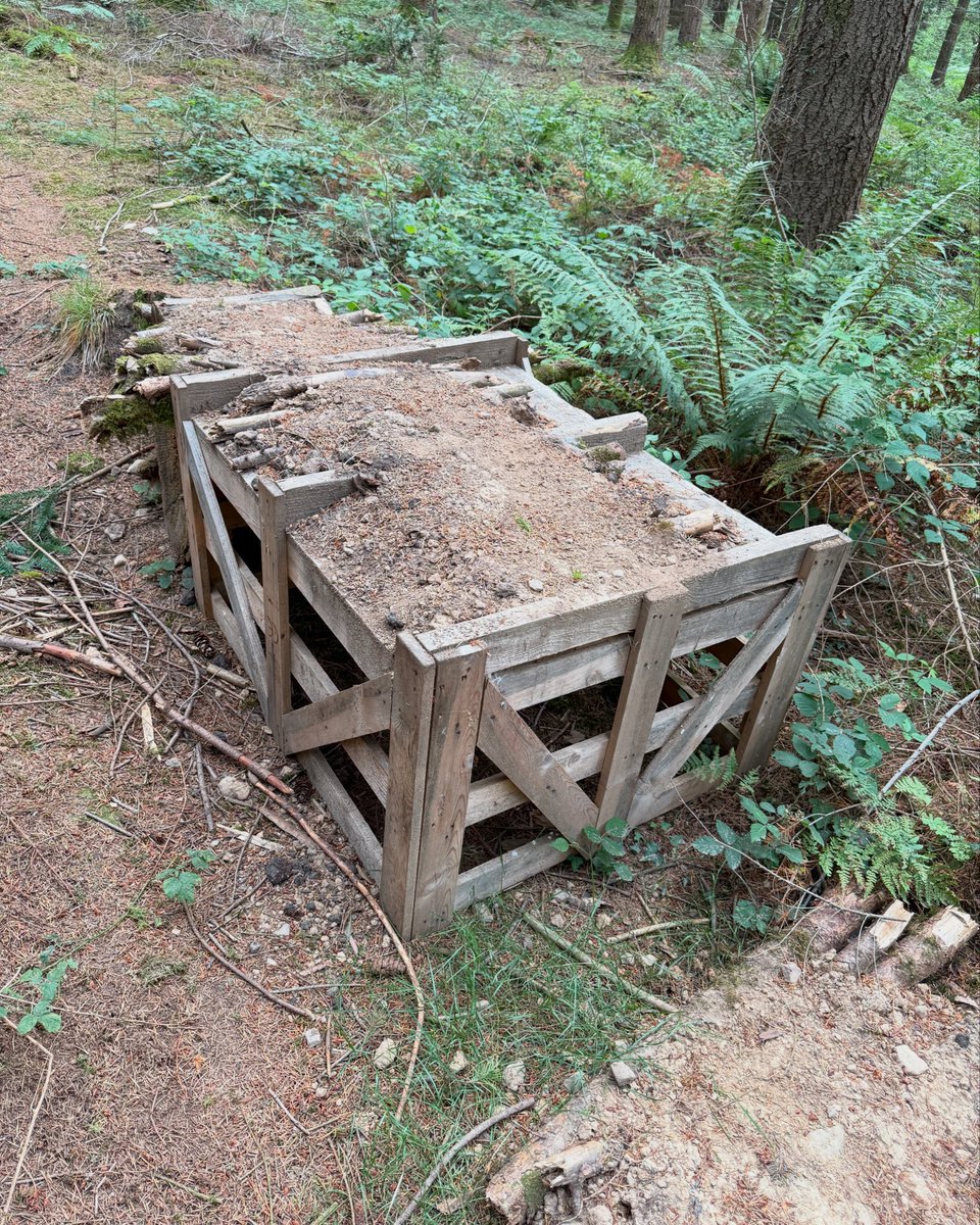 Wtf Friday . Build find 🤣🙄🤪