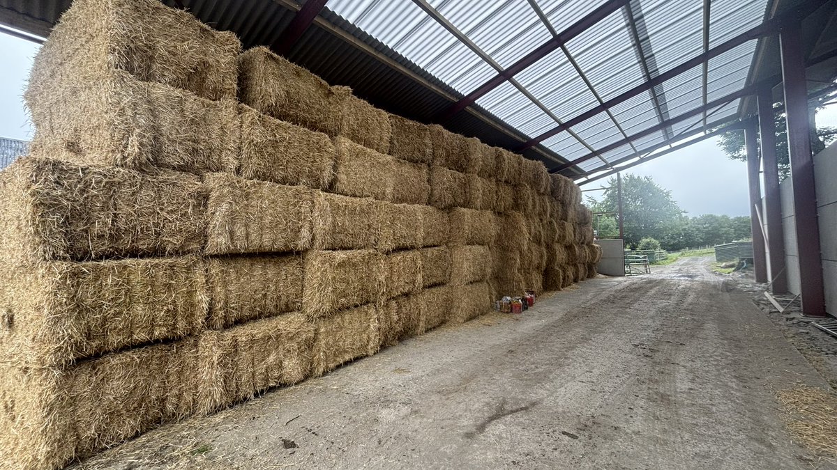 Expensive week!! 🥴

#straw2025