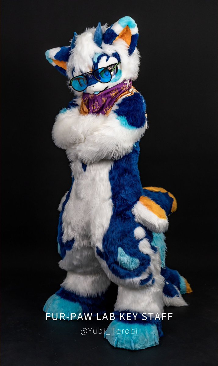 Yobi_torobi's tweet image. 再来一张毛五，欢迎关注扩列
#FusuitFriday