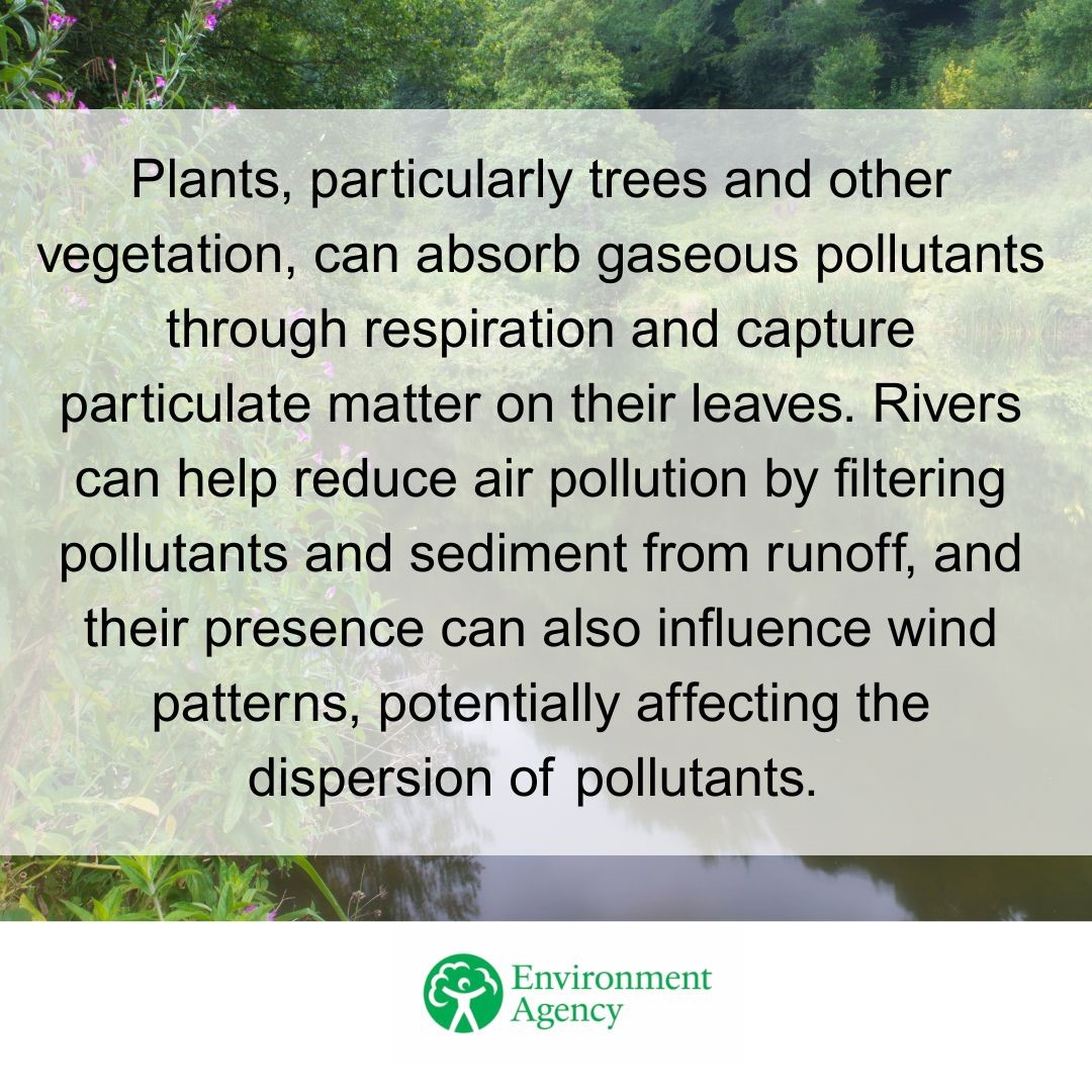 GuildfordFS's tweet image. Today marks #WorldNatureConservationDay – a day to celebrate what nature does for us, and to come together to think about how we can protect it.

-

Nature is essential to life, keeping the air and water healthy, in turn keeping us healthy 🌿