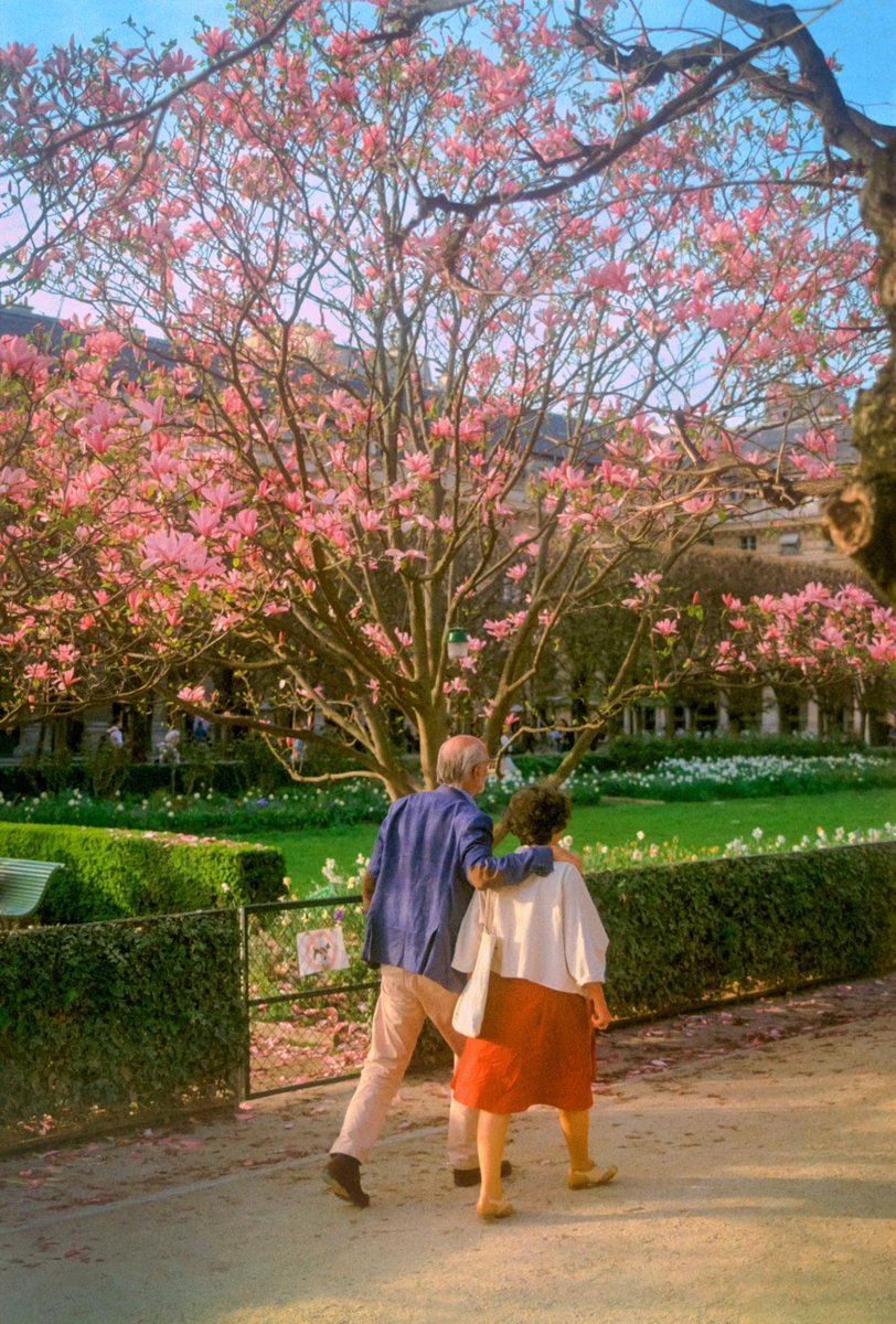 maximevisticot's tweet image. J’aime capturer des scènes de vie paisibles à Paris sur film 🎞️