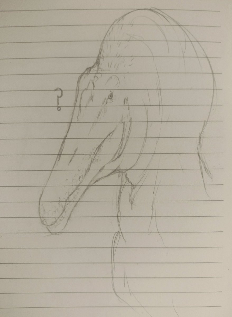icchr_'s tweet image. im very proud of this