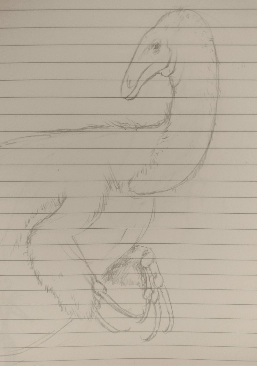 icchr_'s tweet image. im very proud of this