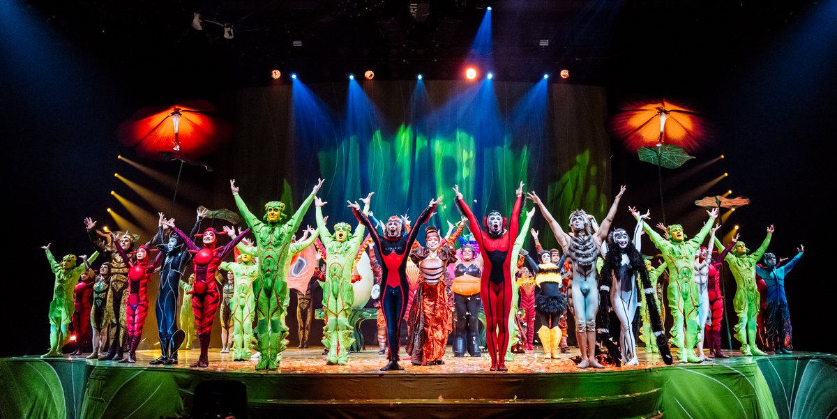 TodayTixUK's tweet image. If anyone was wondering what our plans were for 2026, it was always going to be the circus. #CirqueDuSoleil Ovo is returning to the Royal Albert Hall in January. Tix are on sale now!🎟️: go.todaytix.com/CDSOvo