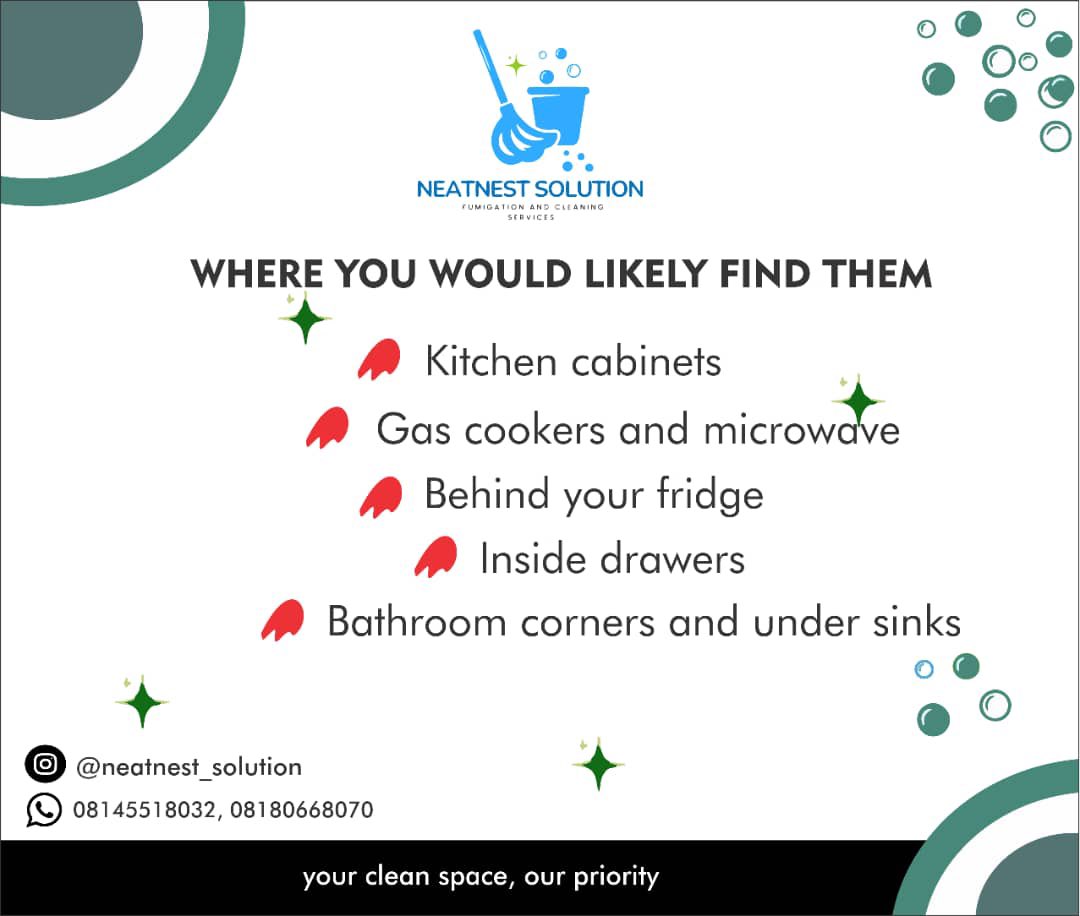 busariademola3's tweet image. The good news? You don&apos;t have to panic or endure the stress….
Check the post, get informed, then send a DM to Book 
Your home deserves better give pests the red card today!
#RainySeasonTips #CockroachProblem #CockroachInfestation 
#PestControlNigeria #CleanHomeNaPeace