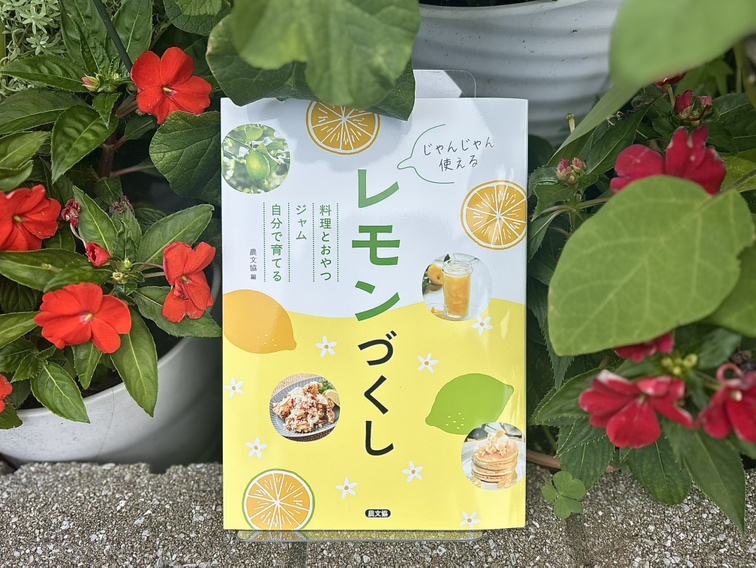 レモン様ありがとうございます。 プリンター対応ケイコーポスター レモン 厚口 A4判 100枚入 | ササガワ