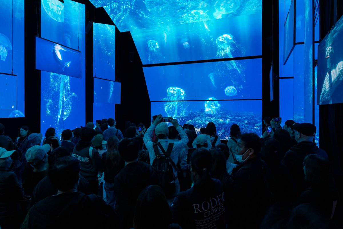 オーストラリアの海を感じてみませんか？🪸
大阪・関西万博の🇦🇺パビリオンへ！
#海の日
<a href="/australiaatexpo/">Australia at Expo</a> <a href="/expo2025_japan/">Expo2025 大阪・関西万博</a>