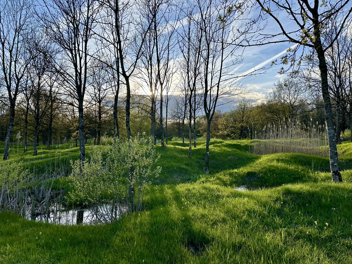 Still Scarred Today, Thiaumont,

One of the most heavily fought over parts of the Verdun battlefield. During the Summer and up to late October 1916. 

Still a painful experience today .. thank to all the mosquitos ...