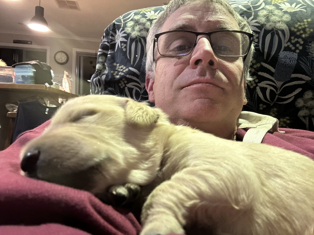 11 days old.