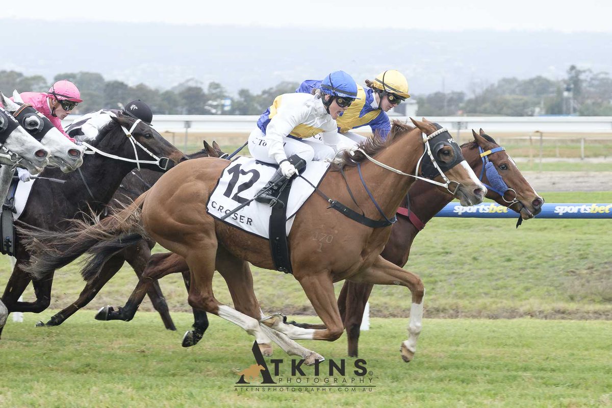 SA Racehorse Owners (SAROA) (@s_saroa) on Twitter photo The Magic Millions/Atkins Photography SA Owner of the Month award winner for June was Kate Barnes, part owner of the enigmatic Ginger Sinner. 
saroa.com.au/news/saroa-own… The Magic Millions/Atkins Photography SA Owner of the Month award winner for June was Kate Barnes, part owner of the enigmatic Ginger Sinner. 
saroa.com.au/news/saroa-own…
