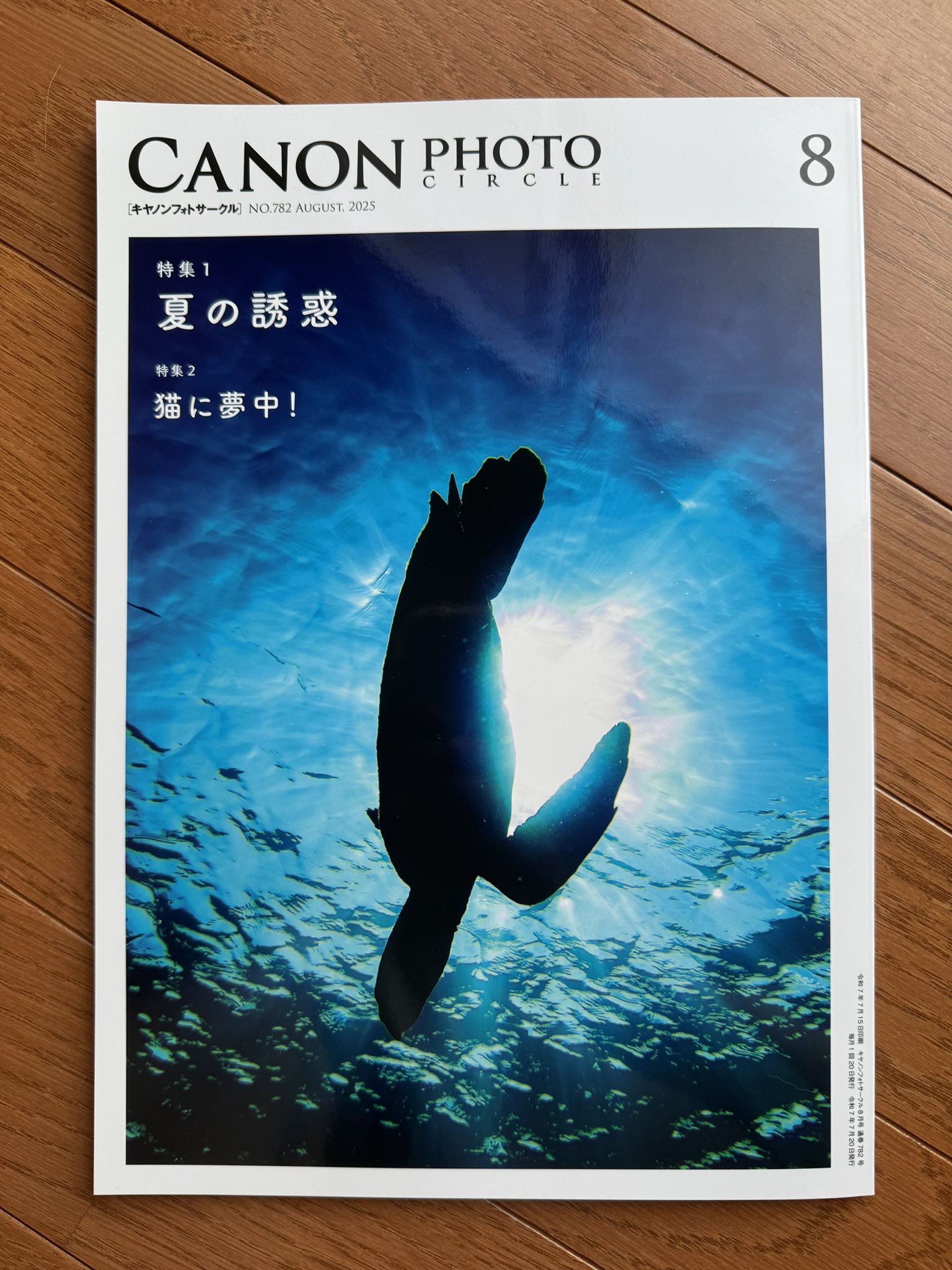 子猫の大行進 写真集 91YheSpjCkL._UF350,350_QL50_.jpg