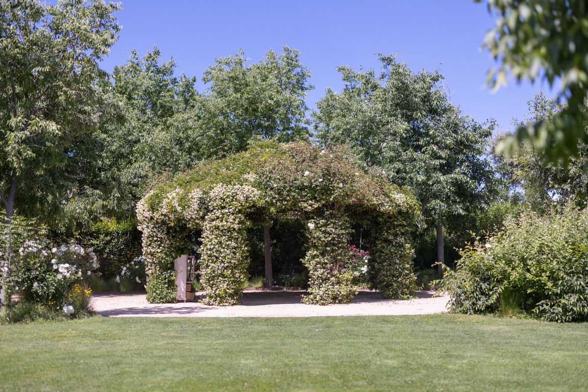 GaastroSpain's tweet image. ✨ Si sueñas con una boda entre viñedos, mariposas y magia natural, apunta este nombre: @BodegaRegajal. A solo 35 minutos de #Madrid, esta finca-bodega es uno de los lugares más especiales para celebrar #bodas con carácter, elegancia y alma rural.

elblogdegastromadrid.com/mejores-espaci…