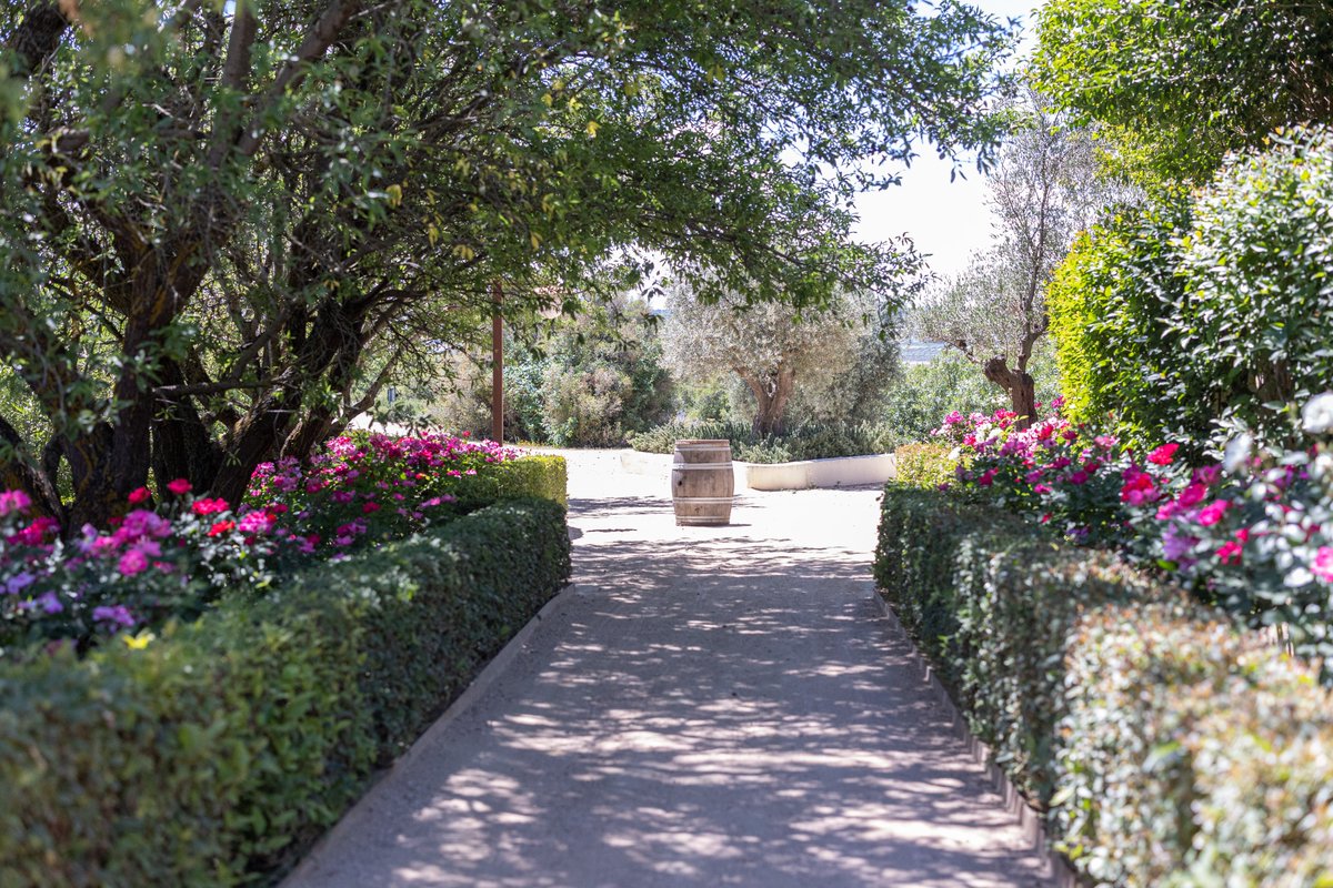 GaastroSpain's tweet image. ✨ Si sueñas con una boda entre viñedos, mariposas y magia natural, apunta este nombre: @BodegaRegajal. A solo 35 minutos de #Madrid, esta finca-bodega es uno de los lugares más especiales para celebrar #bodas con carácter, elegancia y alma rural.

elblogdegastromadrid.com/mejores-espaci…