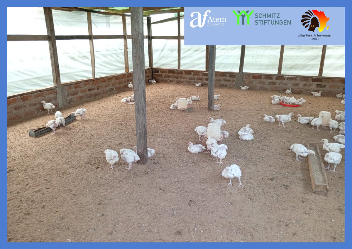 The Atem Foundation tweet media