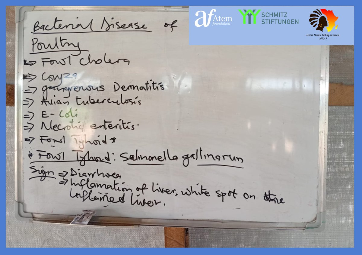 The Atem Foundation tweet media